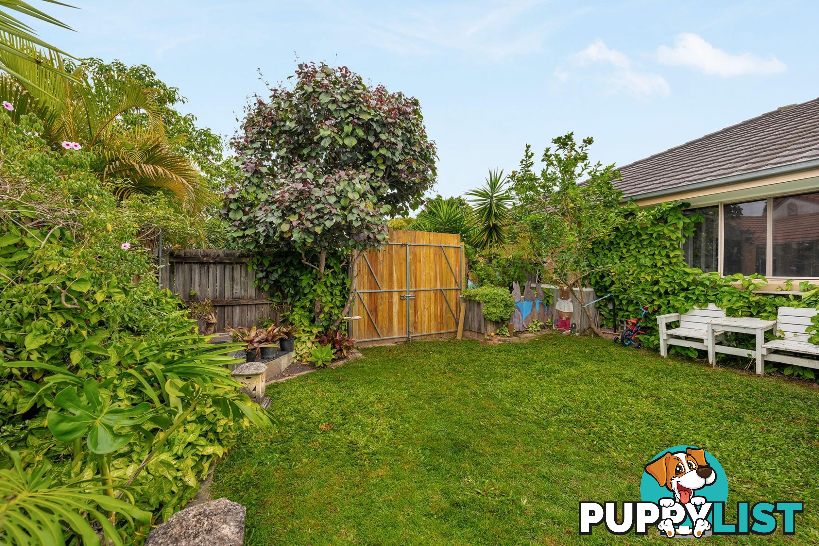 6 Caz Court UPPER COOMERA QLD 4209