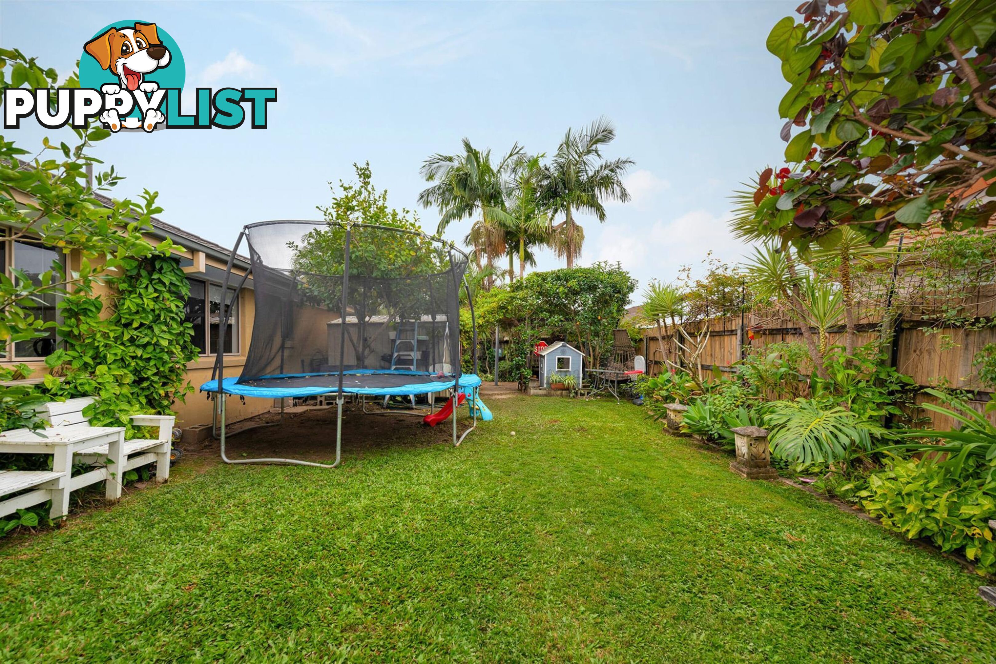 6 Caz Court UPPER COOMERA QLD 4209