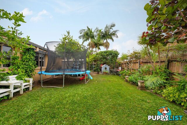 6 Caz Court UPPER COOMERA QLD 4209