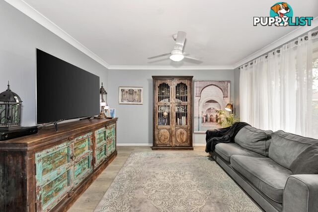6 Caz Court UPPER COOMERA QLD 4209