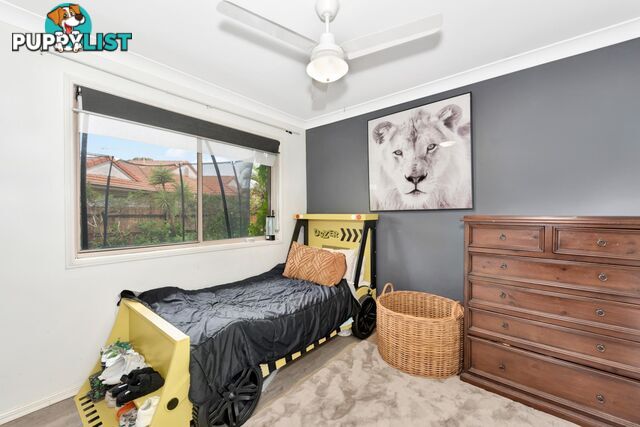 6 Caz Court UPPER COOMERA QLD 4209