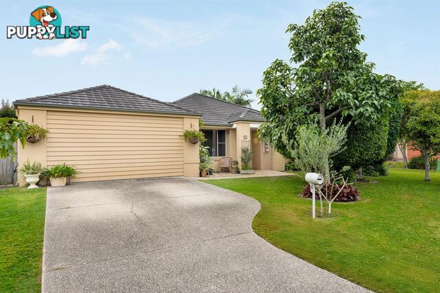 6 Caz Court UPPER COOMERA QLD 4209