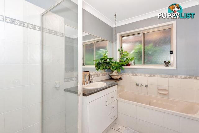 6 Caz Court UPPER COOMERA QLD 4209