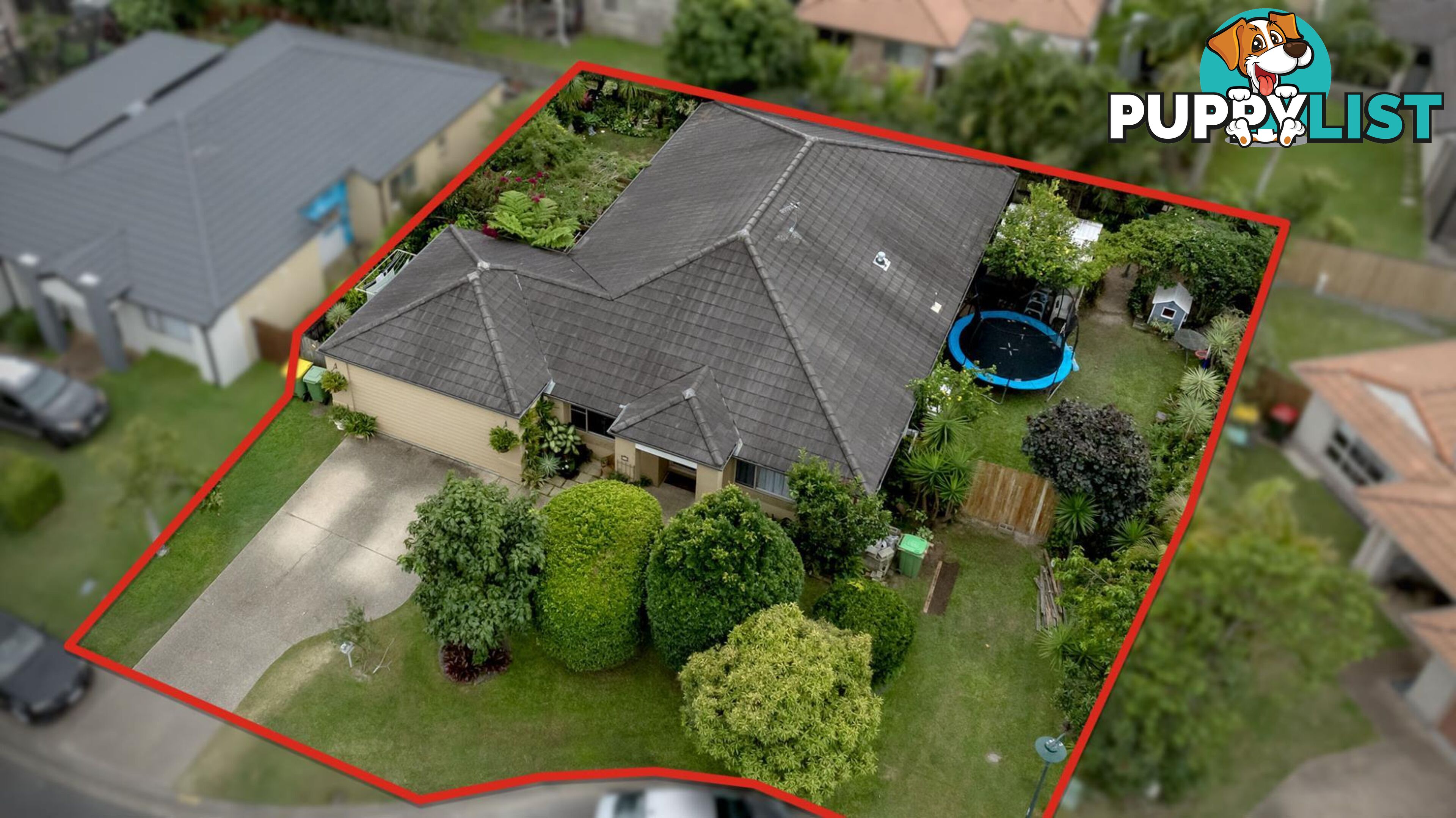 6 Caz Court UPPER COOMERA QLD 4209