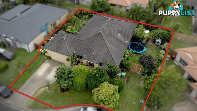 6 Caz Court UPPER COOMERA QLD 4209
