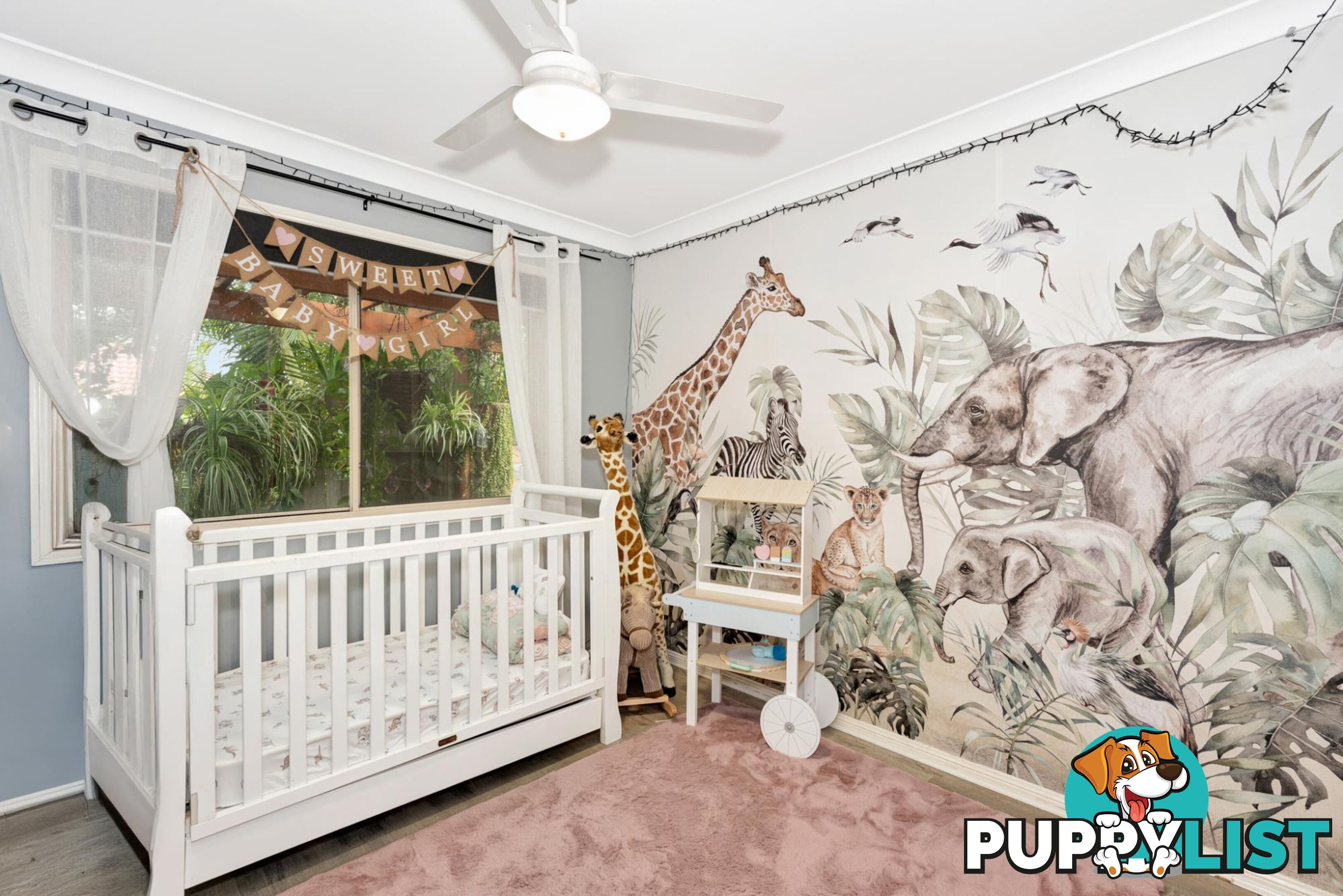 6 Caz Court UPPER COOMERA QLD 4209