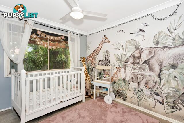 6 Caz Court UPPER COOMERA QLD 4209