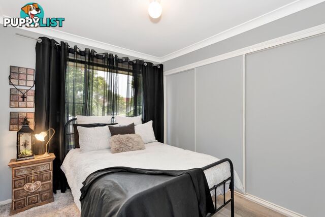 6 Caz Court UPPER COOMERA QLD 4209