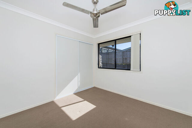 60 Damian Leeding Way UPPER COOMERA QLD 4209