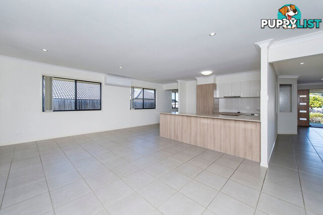 60 Damian Leeding Way UPPER COOMERA QLD 4209