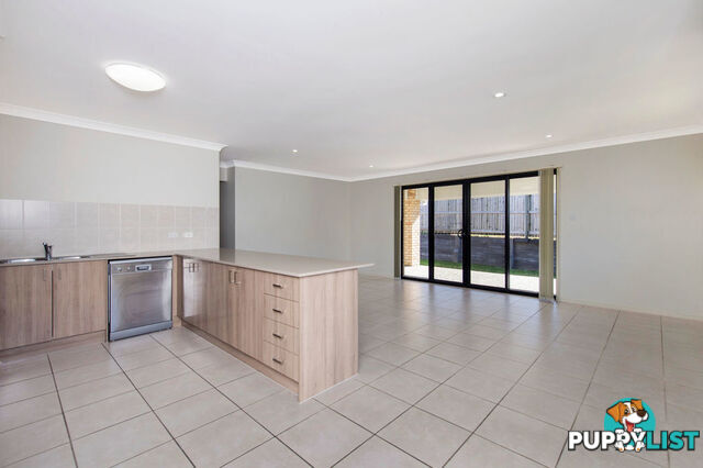 60 Damian Leeding Way UPPER COOMERA QLD 4209