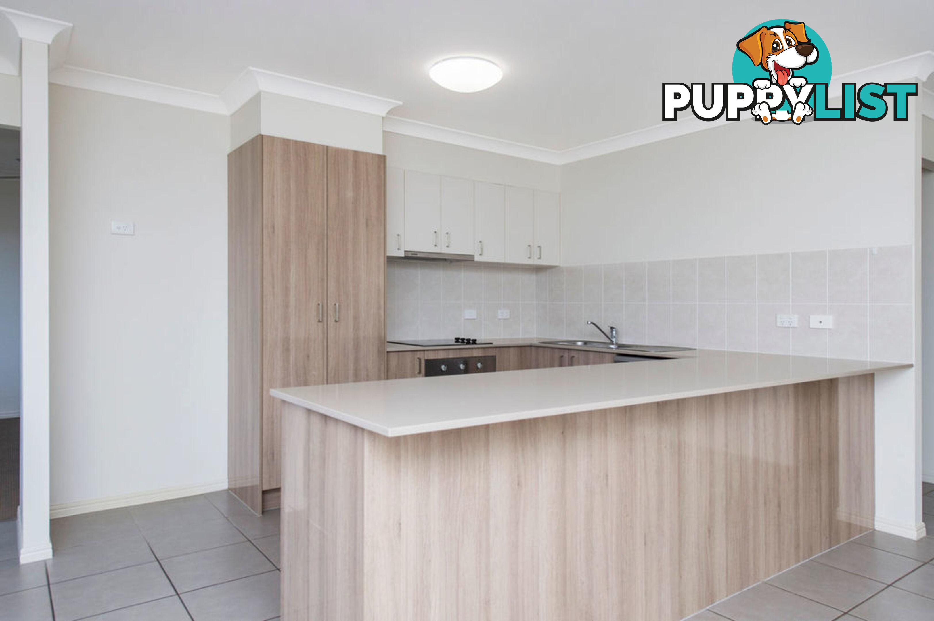 60 Damian Leeding Way UPPER COOMERA QLD 4209