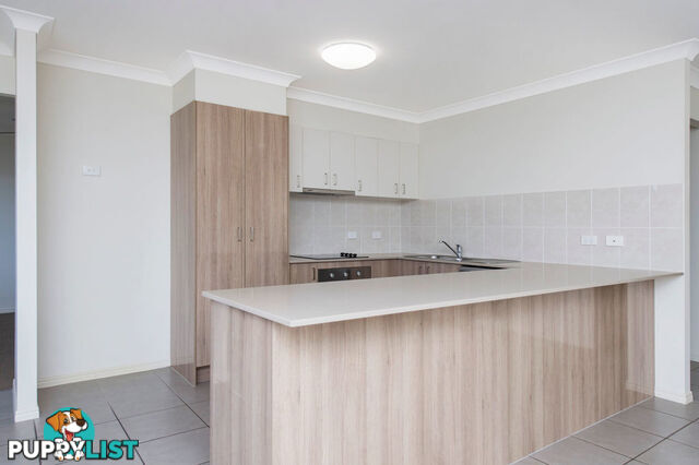 60 Damian Leeding Way UPPER COOMERA QLD 4209