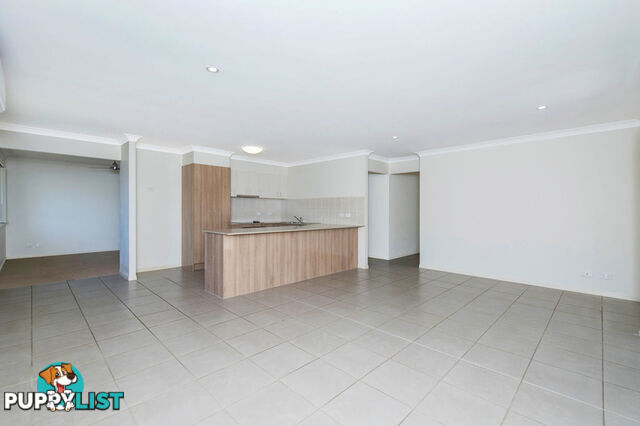 60 Damian Leeding Way UPPER COOMERA QLD 4209