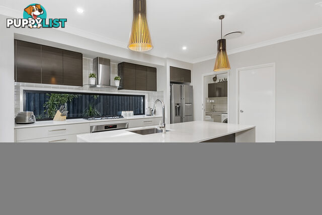 21 Alexa Rise UPPER COOMERA QLD 4209