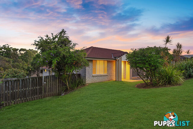 44 Annabelle Crescent UPPER COOMERA QLD 4209