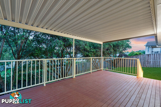 44 Annabelle Crescent UPPER COOMERA QLD 4209