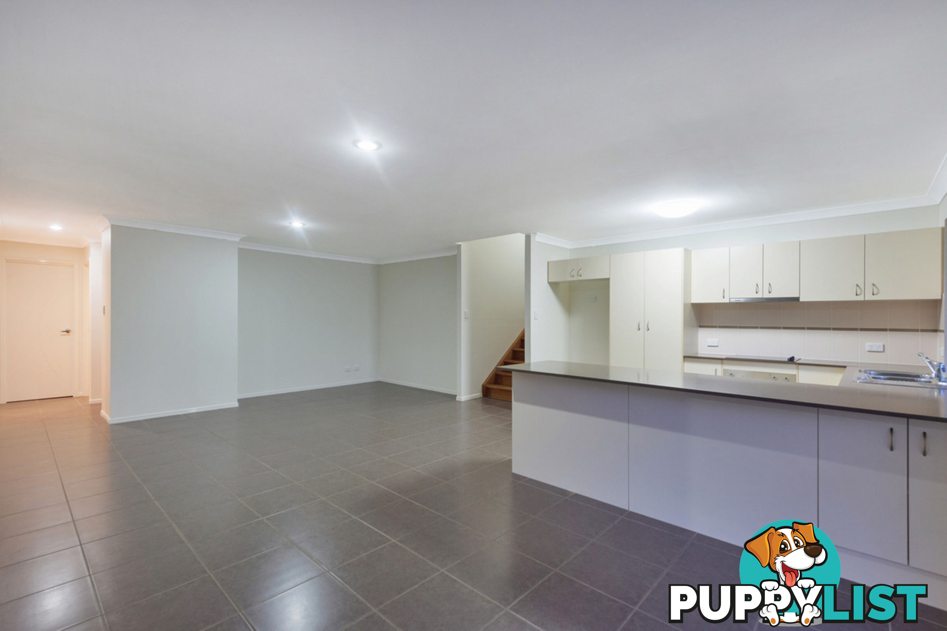 44 Annabelle Crescent UPPER COOMERA QLD 4209