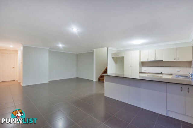 44 Annabelle Crescent UPPER COOMERA QLD 4209