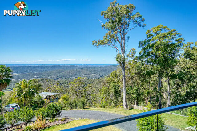 450 Henri Robert Drive TAMBORINE MOUNTAIN QLD 4272