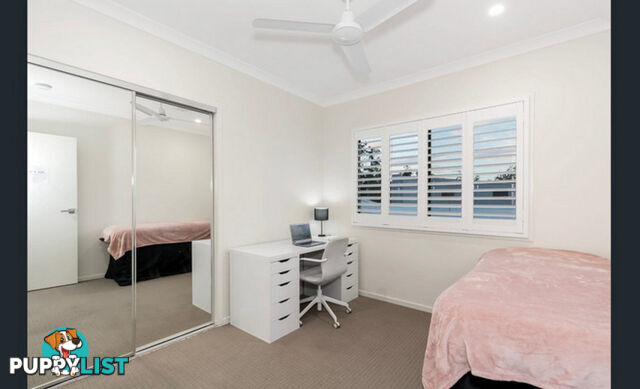 1/174 George Alexander Way COOMERA QLD 4209