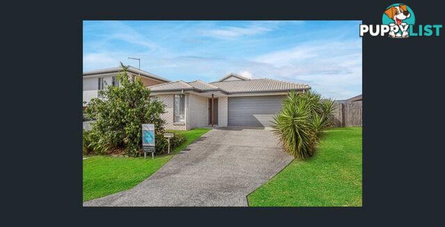 10 Rothbury Terrace PIMPAMA QLD 4209