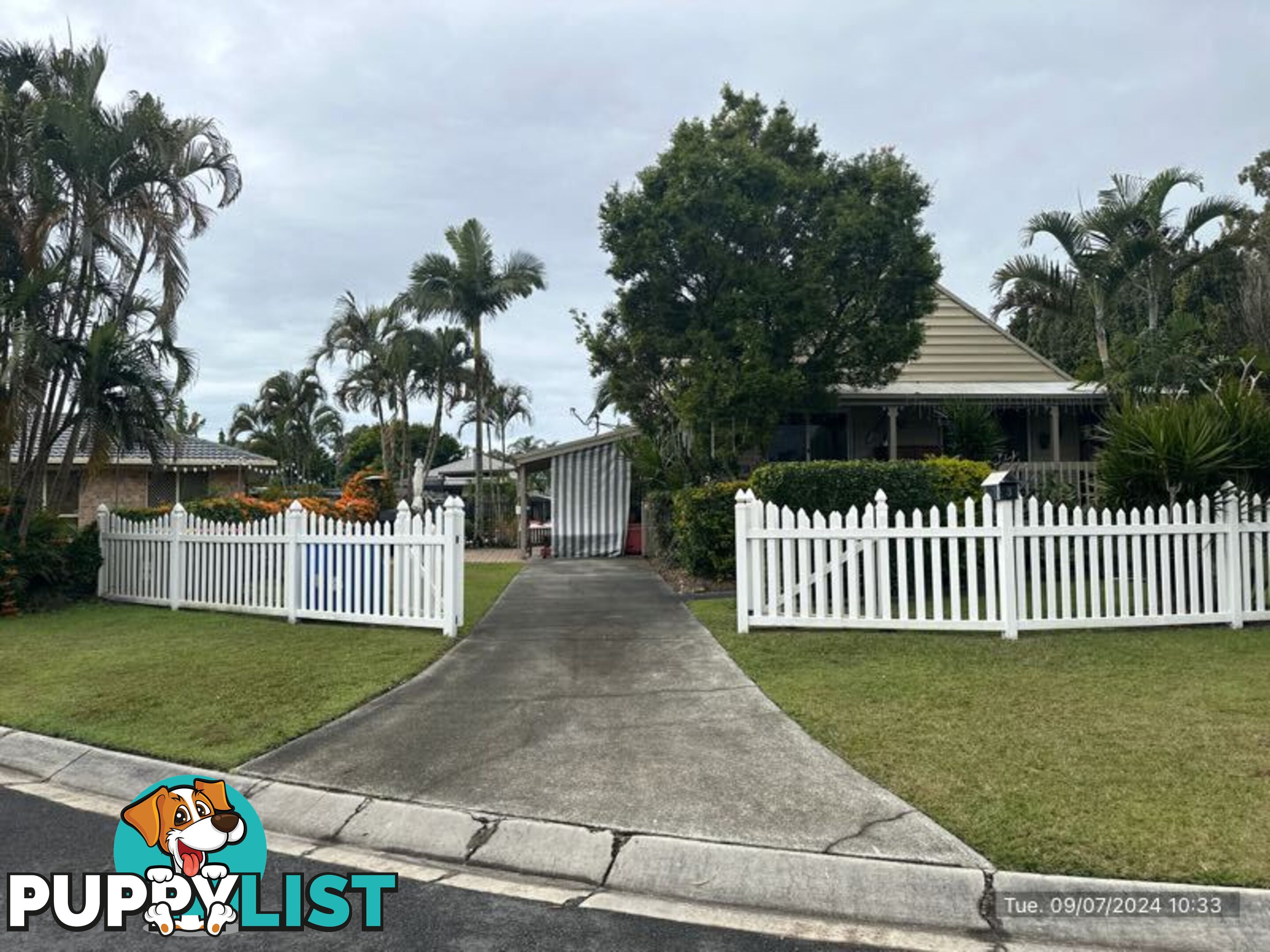 3 Thomas Court JACOBS WELL QLD 4208