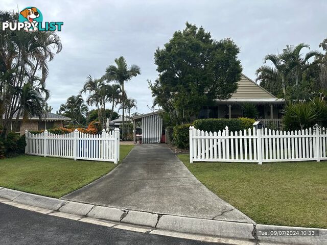 3 Thomas Court JACOBS WELL QLD 4208