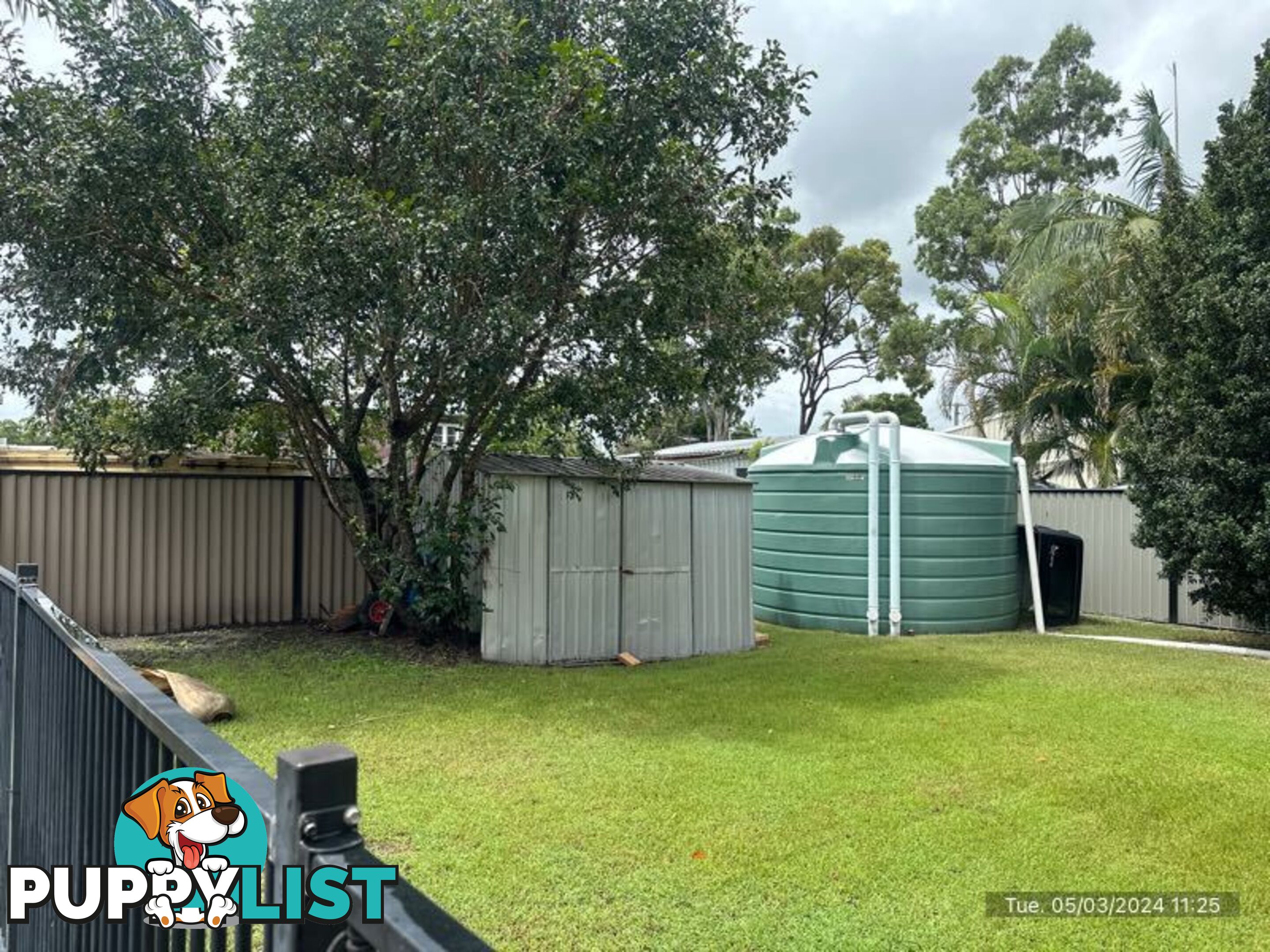 3 Thomas Court JACOBS WELL QLD 4208