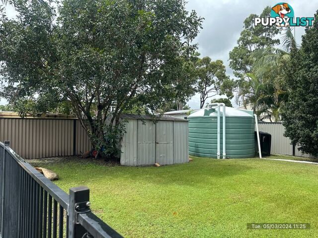 3 Thomas Court JACOBS WELL QLD 4208