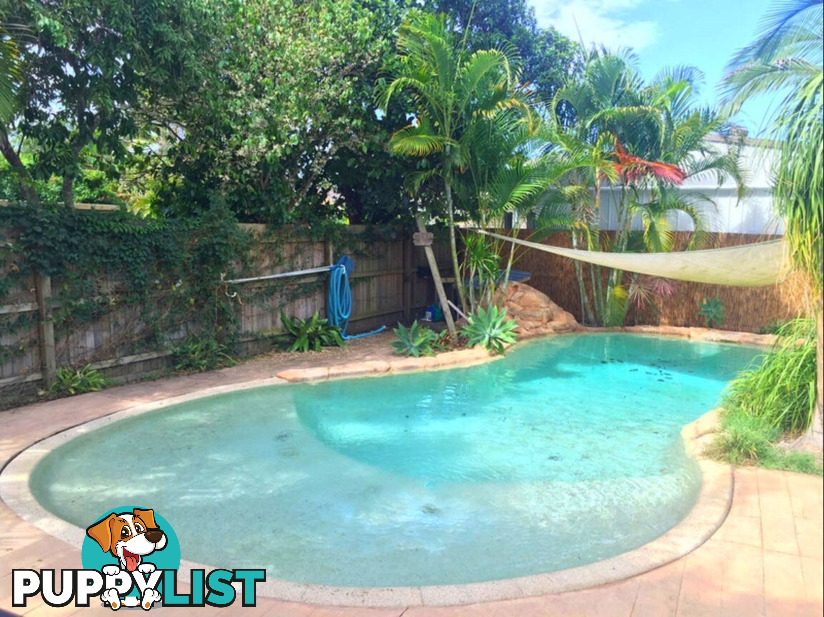 3 Thomas Court JACOBS WELL QLD 4208