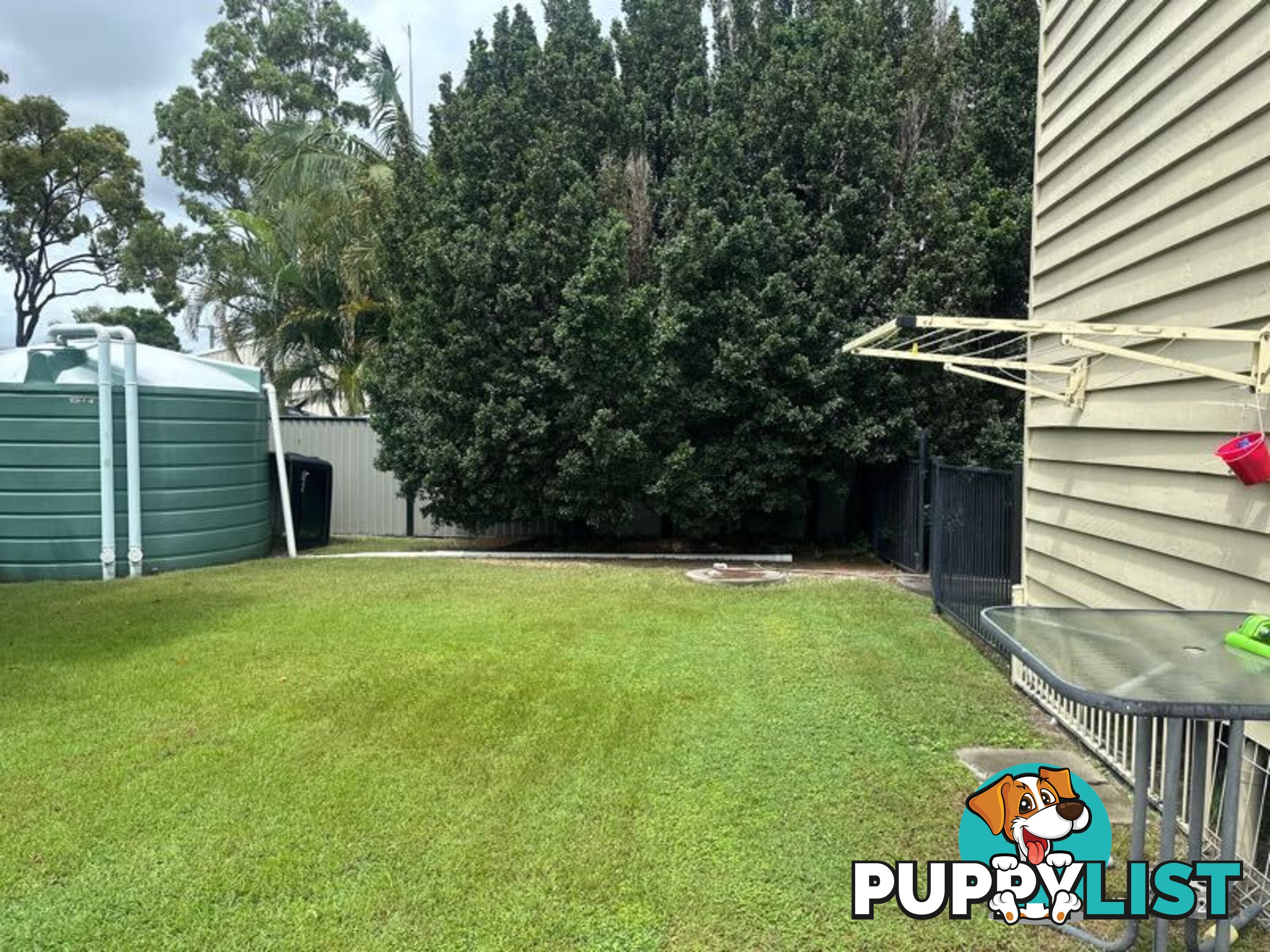 3 Thomas Court JACOBS WELL QLD 4208