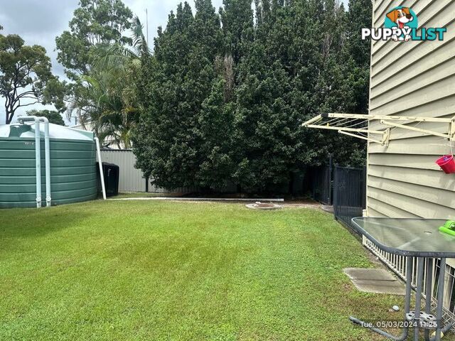 3 Thomas Court JACOBS WELL QLD 4208