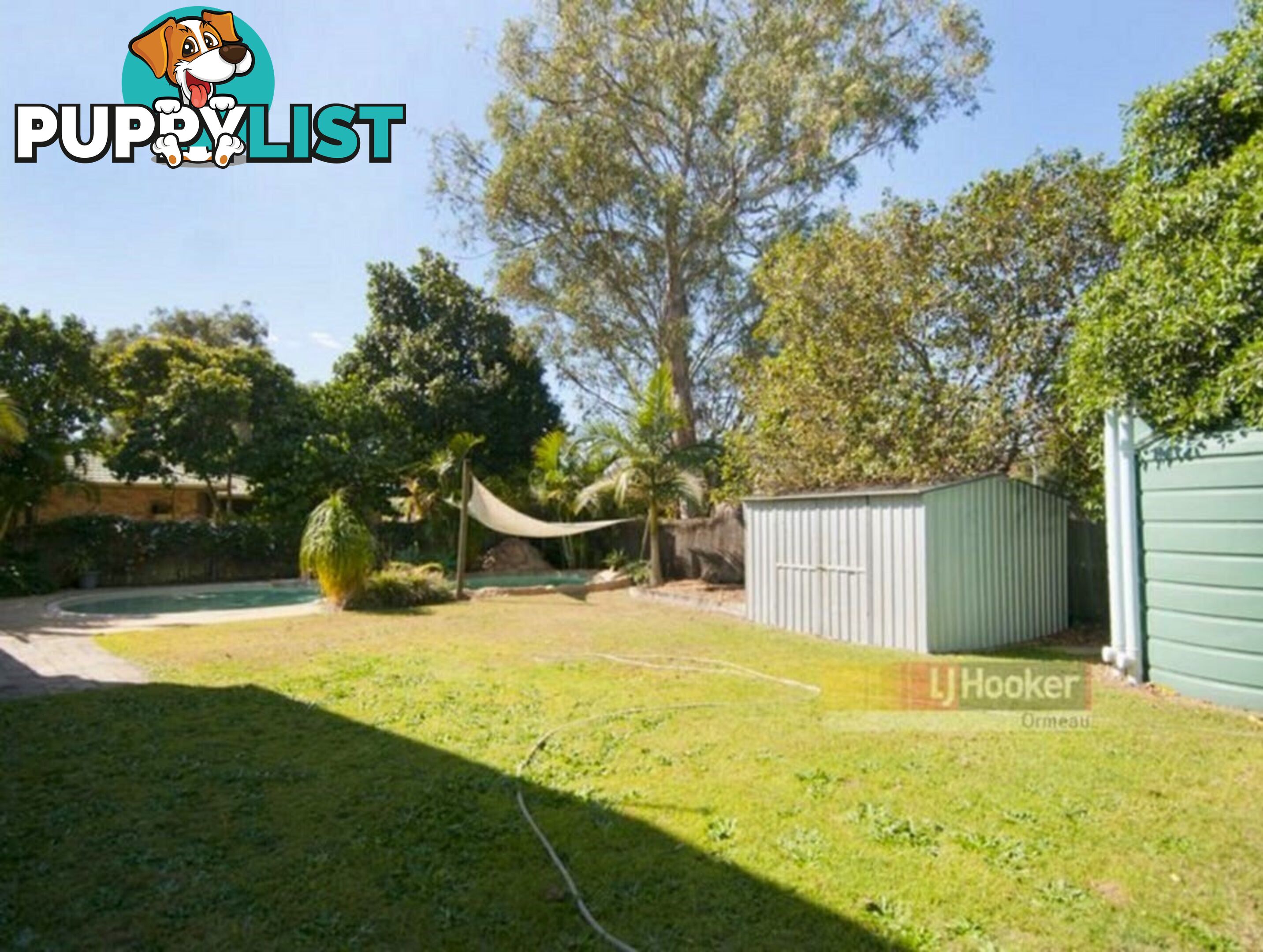 3 Thomas Court JACOBS WELL QLD 4208