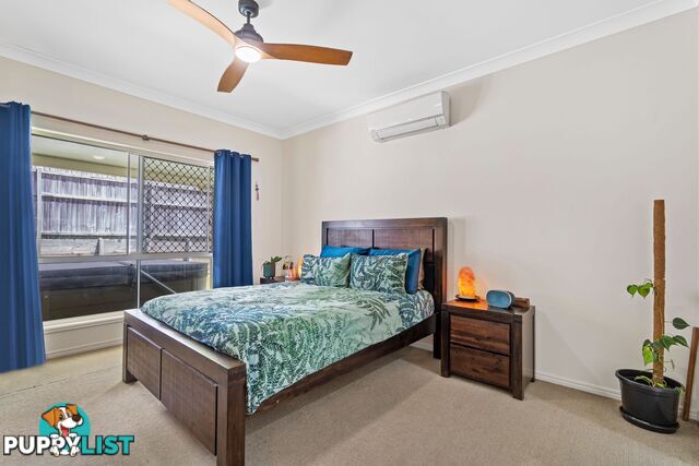 12 Sanderling Street UPPER COOMERA QLD 4209