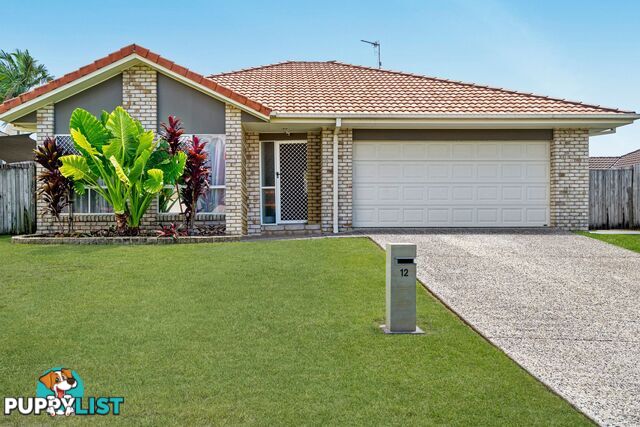 12 Sanderling Street UPPER COOMERA QLD 4209