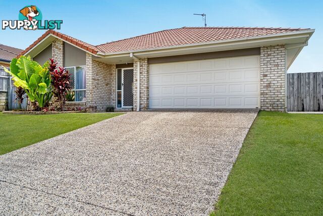 12 Sanderling Street UPPER COOMERA QLD 4209