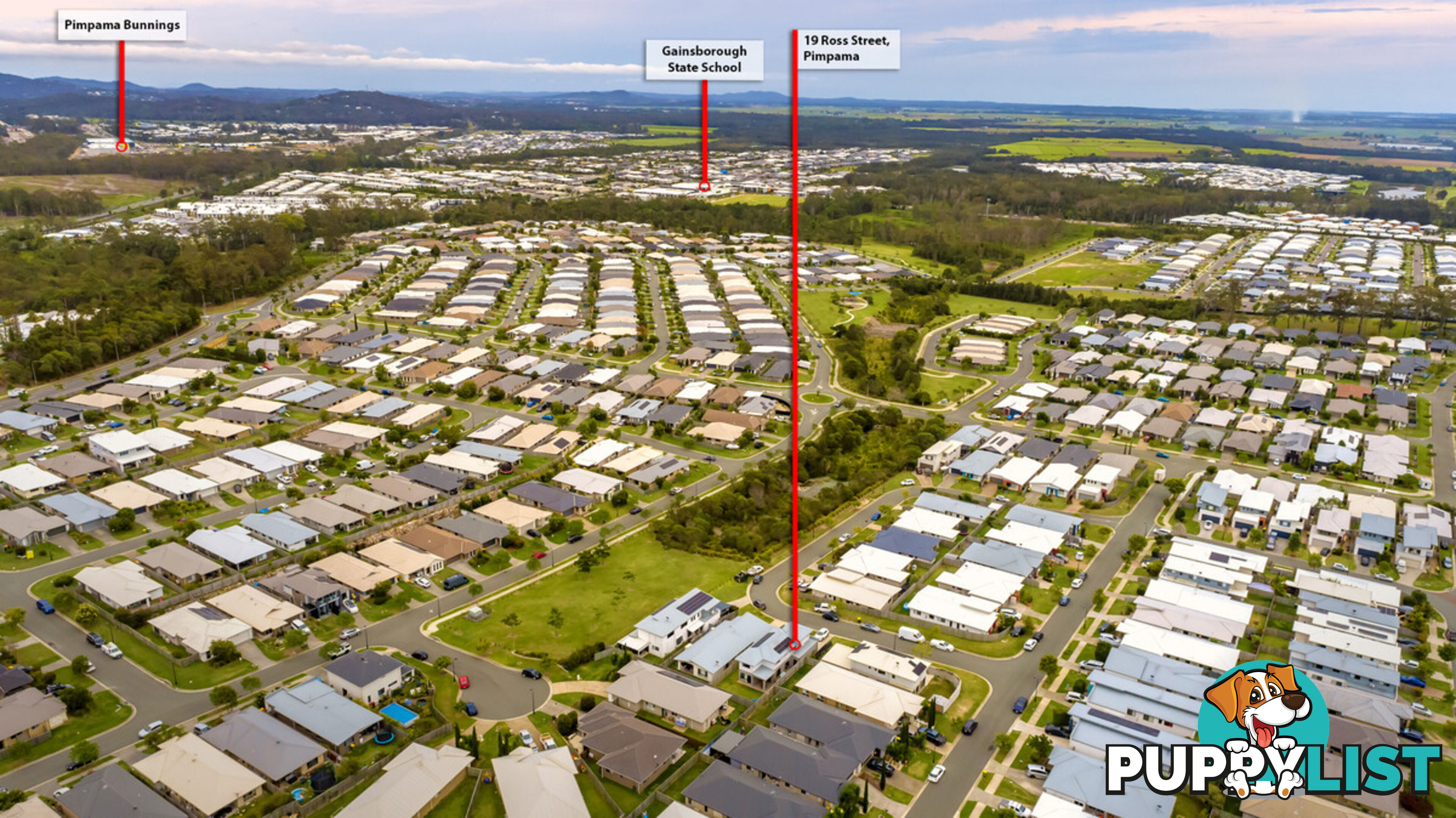 19 Ross Crescent PIMPAMA QLD 4209