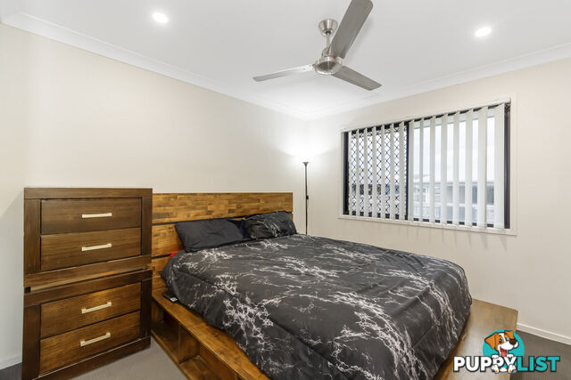 19 Ross Crescent PIMPAMA QLD 4209