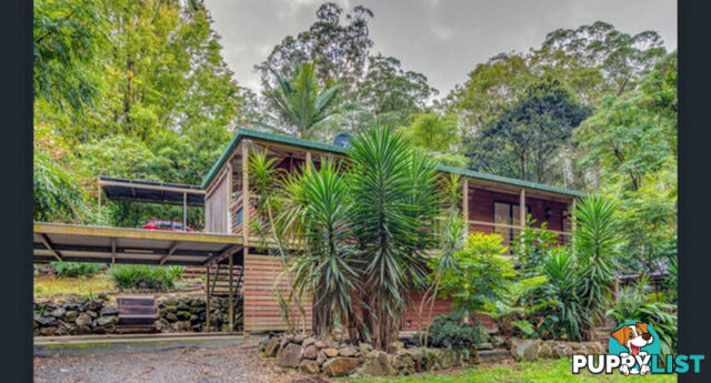 85 Kinabalu Drive TAMBORINE MOUNTAIN QLD 4272