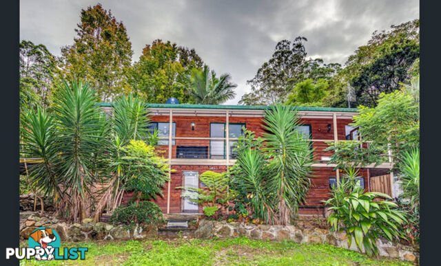 85 Kinabalu Drive TAMBORINE MOUNTAIN QLD 4272