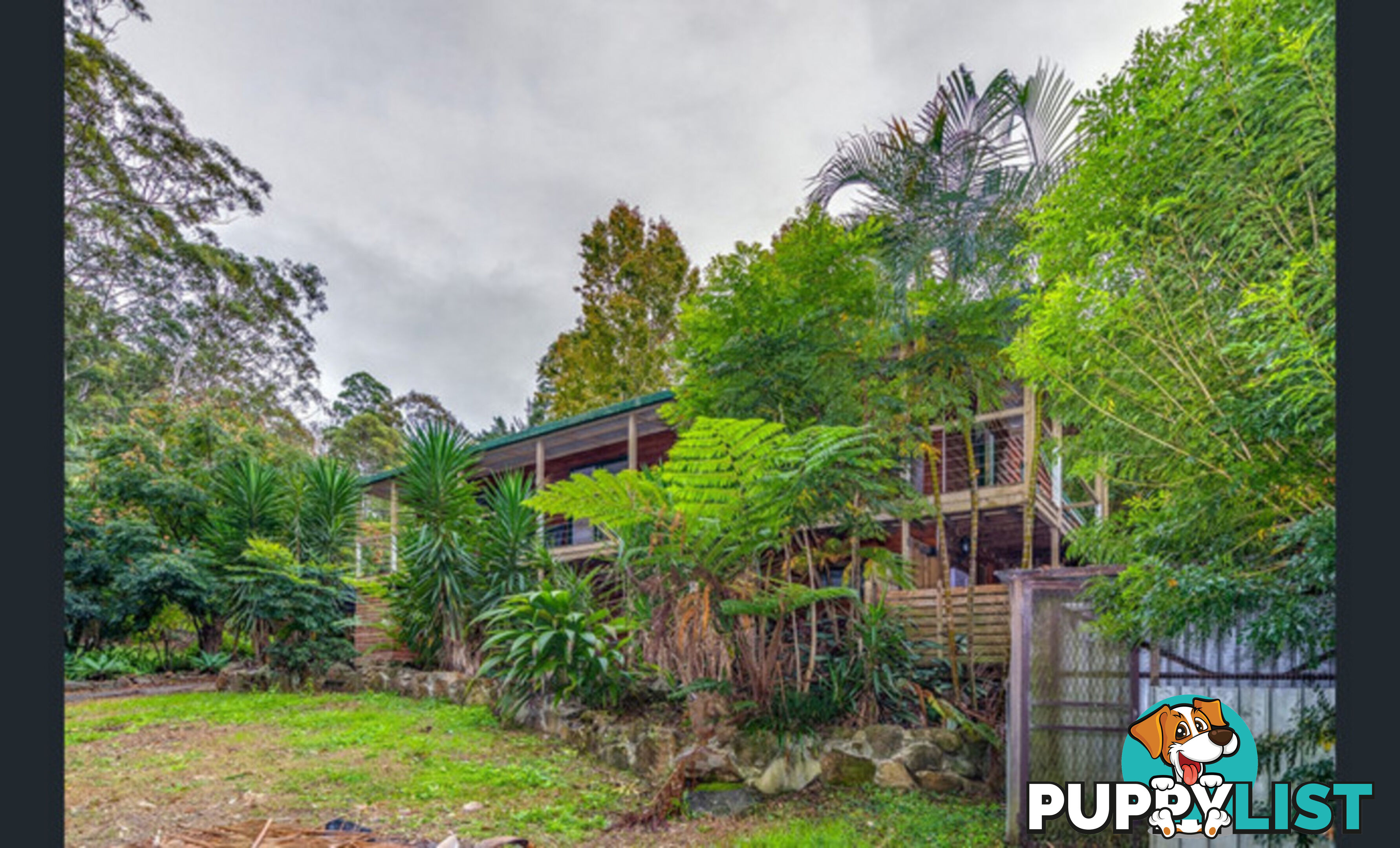 85 Kinabalu Drive TAMBORINE MOUNTAIN QLD 4272