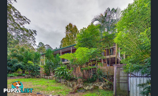 85 Kinabalu Drive TAMBORINE MOUNTAIN QLD 4272