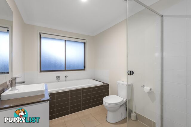 2 Alpine Lane PIMPAMA QLD 4209