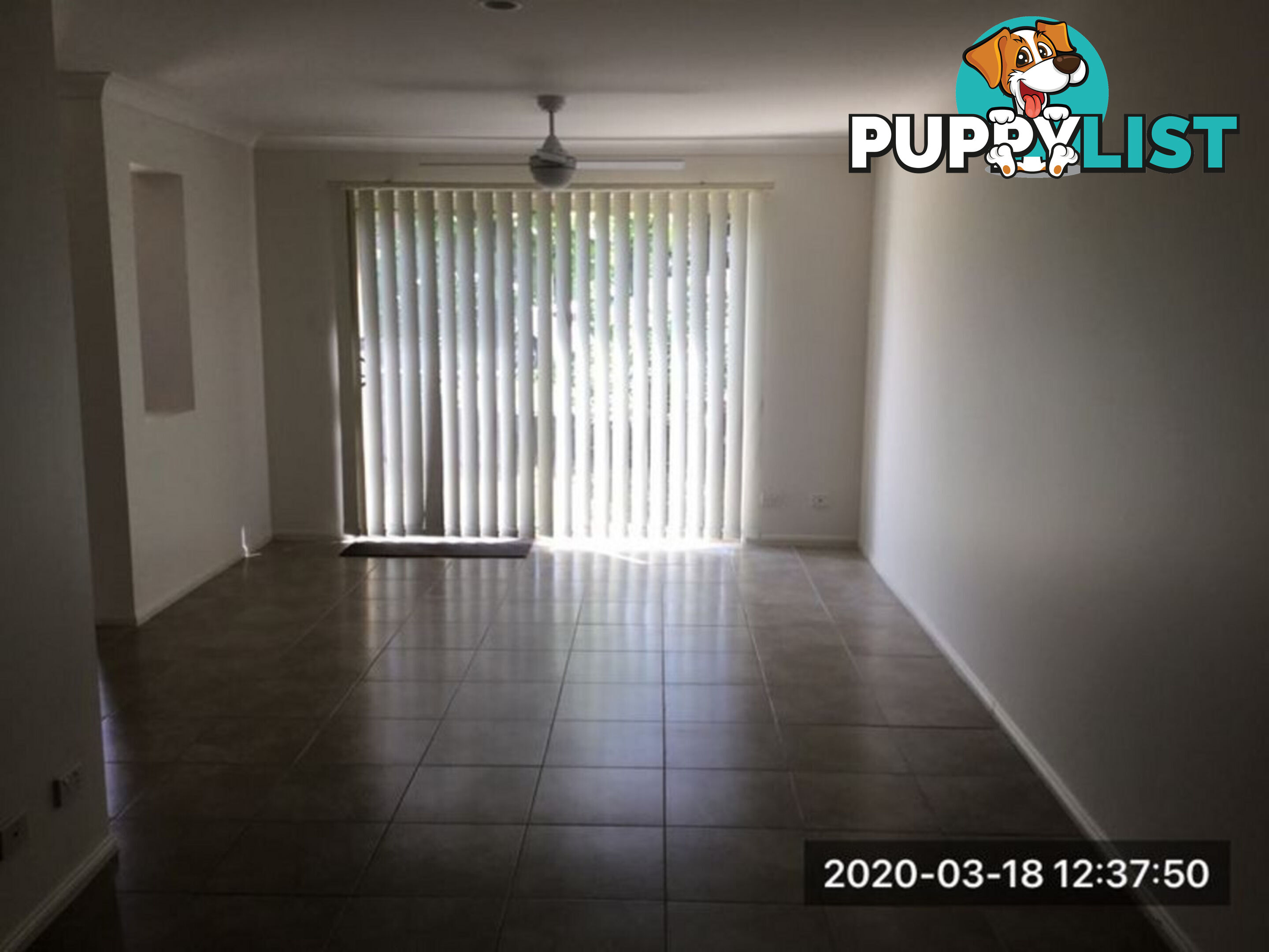 2/6 Springdale Street UPPER COOMERA QLD 4209