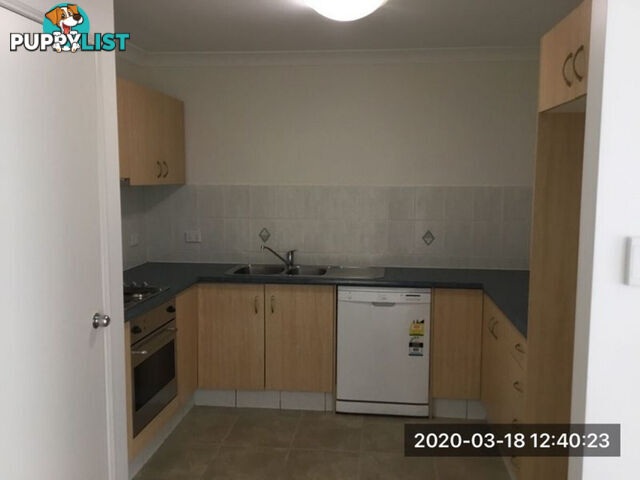 2/6 Springdale Street UPPER COOMERA QLD 4209