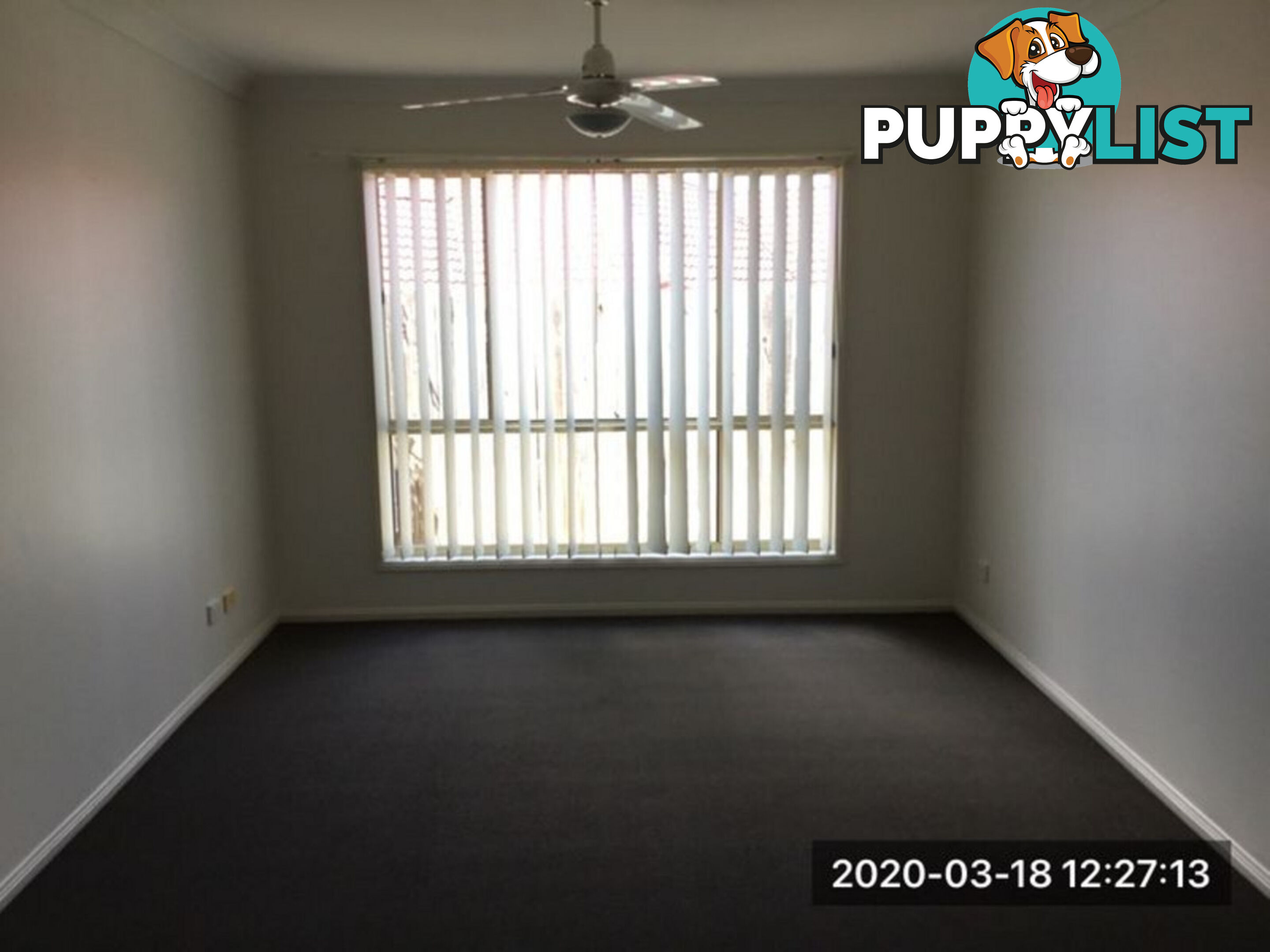 2/6 Springdale Street UPPER COOMERA QLD 4209