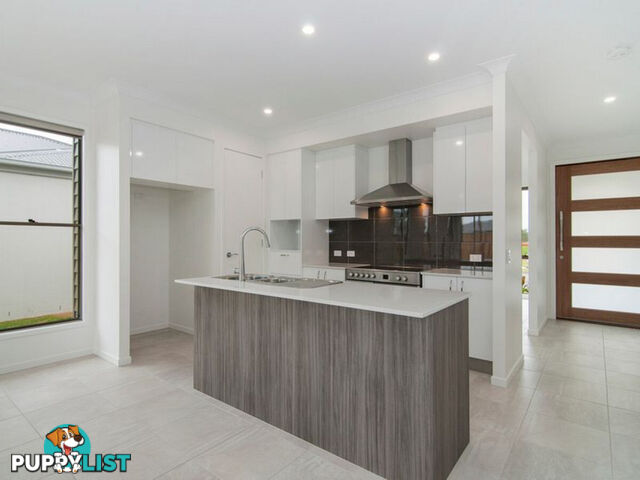 20 Laurel Drive HELENSVALE QLD 4212