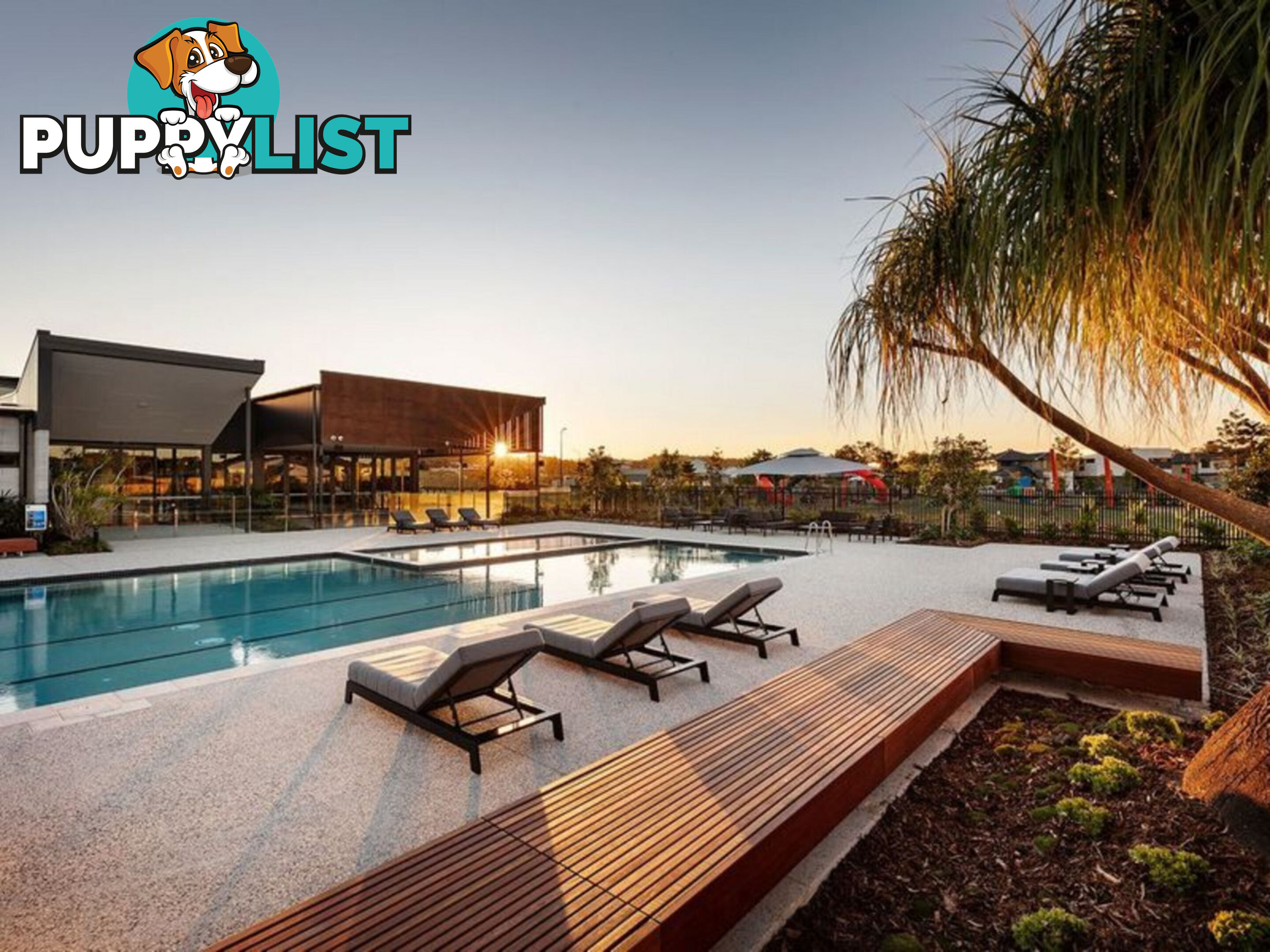 20 Laurel Drive HELENSVALE QLD 4212