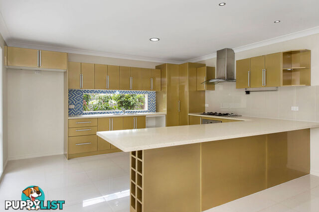 7 Patterson Court UPPER COOMERA QLD 4209